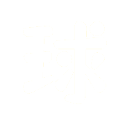 巴西球迷队